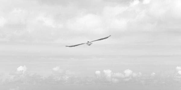 React vs Vue: Which is Better for African Startups?